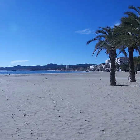 فيلة Merveille بورم لي ميموزا