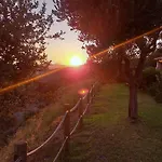 Merveille بورم لي ميموزا