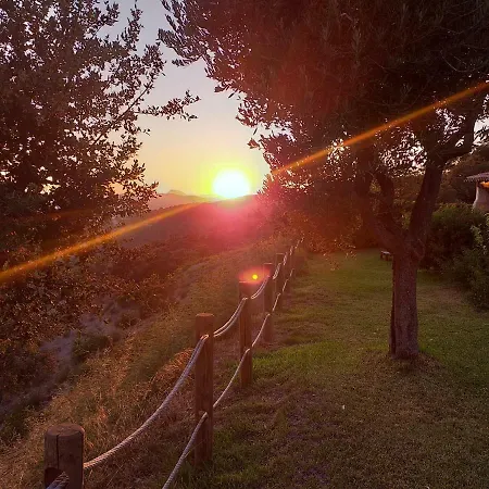 Merveille Bormes-les-Mimosas