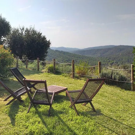 Merveille * Bormes-les-Mimosas