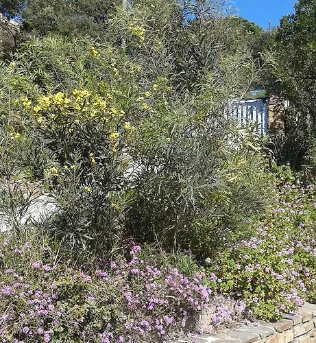 Merveille Villa Bormes-les-Mimosas