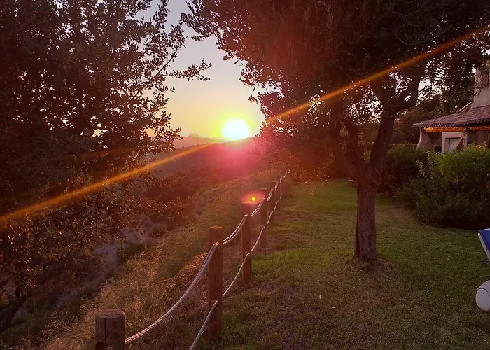 Merveille Bormes-les-Mimosas
