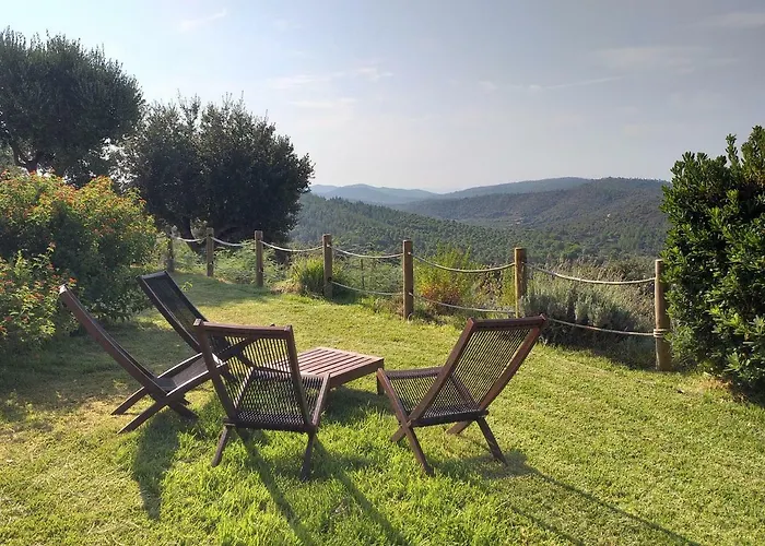 Merveille * Bormes-les-Mimosas